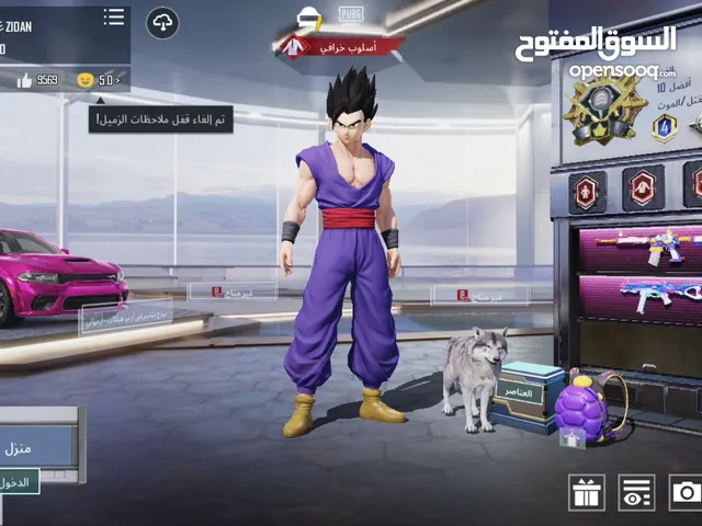 Pubg Accounts and Characters for Sale in Kuwait City