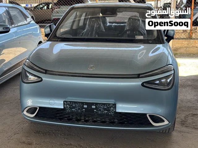 2025, دونج فينج, نامي بوكس