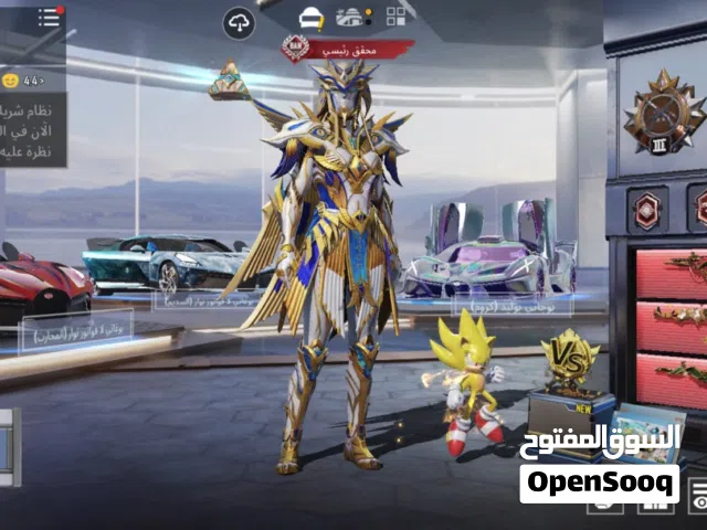 Pubg Accounts and Characters for Sale in Ajman