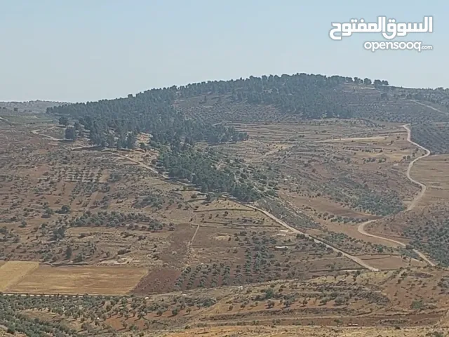 متوفر قطع اراضي منطقة نادره شرق جرش من 15الى 29الف اقرا التفاصيل جيدا