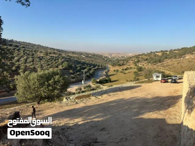 بسم الله الرحمن الرحيم ارض للبيع في صروت بالقرب من شفابدران مميزه جدا مشغوله بالكامل مساحة 3400م2