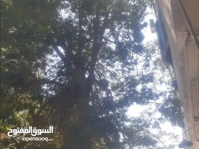 67 m2 2 Bedrooms Apartments for Sale in Giza 6th of October