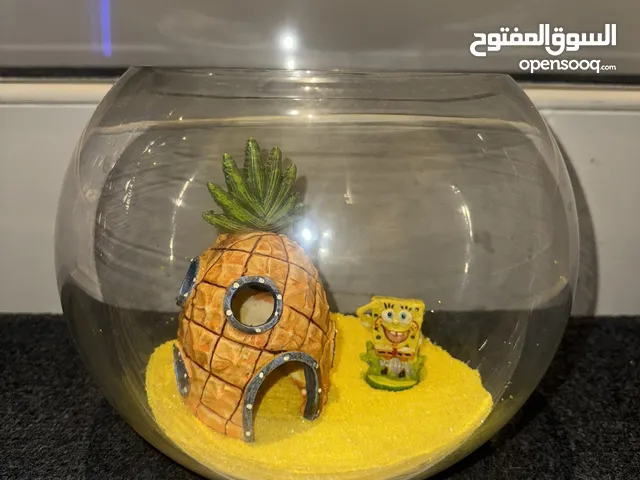 Aquarium used