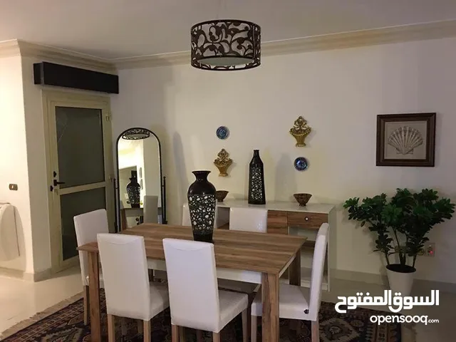 شقه مفروشه للايجار مدد طويله فقط دقائق لنادي الصيد الدقي اقل مده سنه