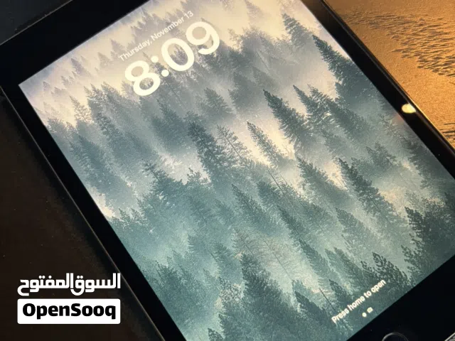 Apple iPad Mini 5 - 256gb (WIFI)