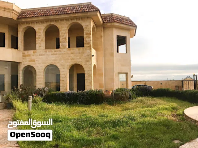 قصر فاخر على شارع المطار