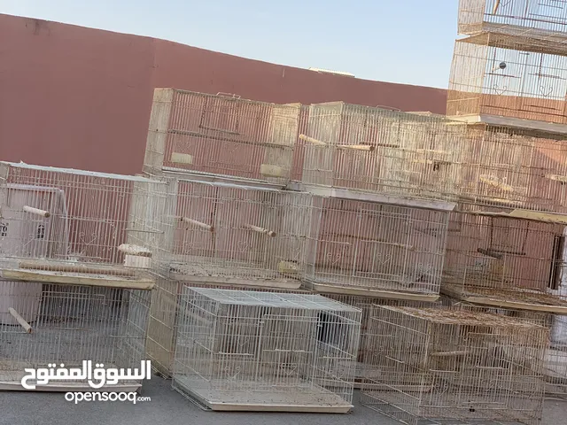 اقفاص بيضان
