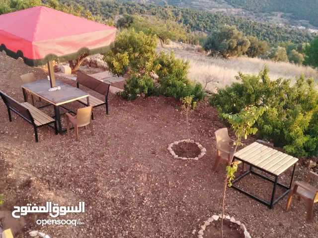 165 m2 4 Bedrooms Apartments for Rent in Ajloun Other