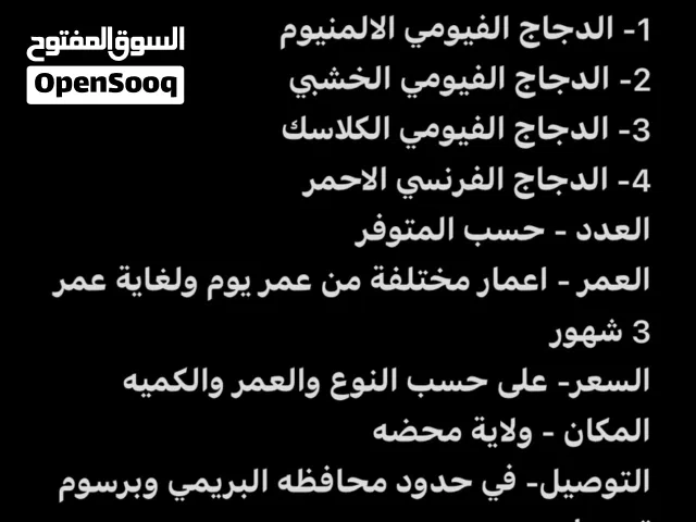 دجاج حي او مذبوح متوفر