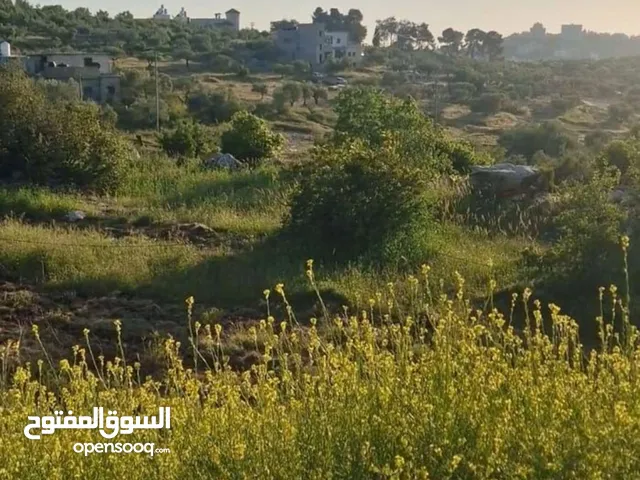 ارض للبيع البيره منطقه السلاميه مساحه 750 متر للبيناء