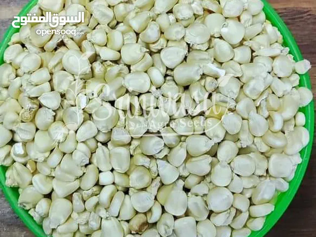 بذور مريمبو مرومبو للزراعة