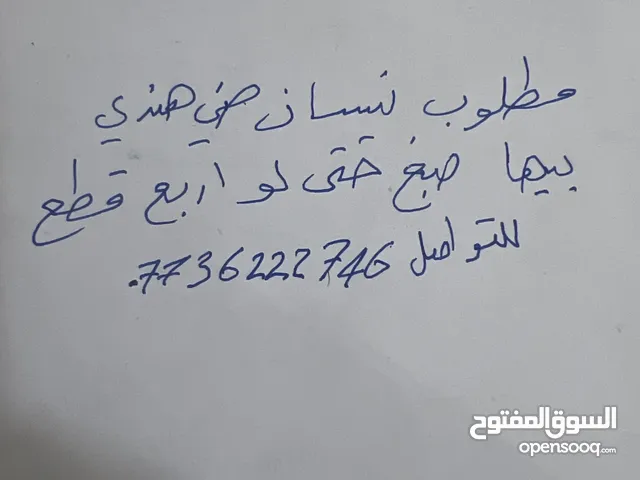 Used Nissan Sunny in Baghdad