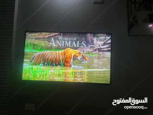 LG Smart 50 inch TV in Kafr El-Sheikh