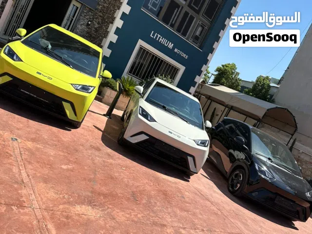 2023, بي واي دي, سيجول