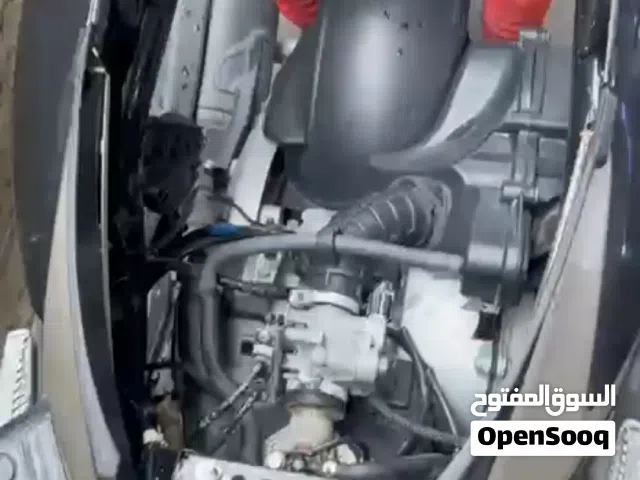 سكنس فحل للبيع