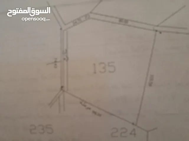 Farm Land for Sale in Amman Mahes