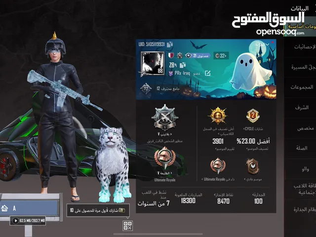 Pubg Accounts and Characters for Sale in Basra