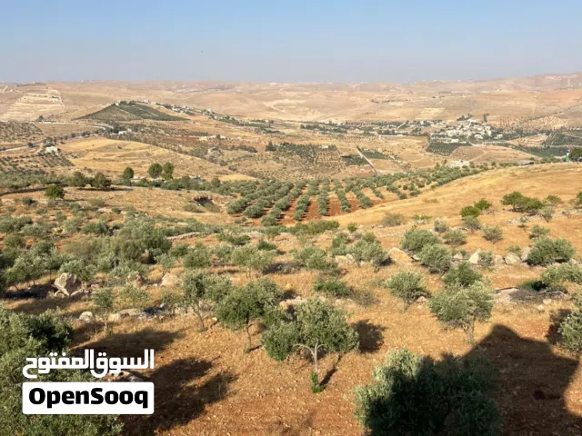 4 Bedrooms Farms for Sale in Jerash Unaybah