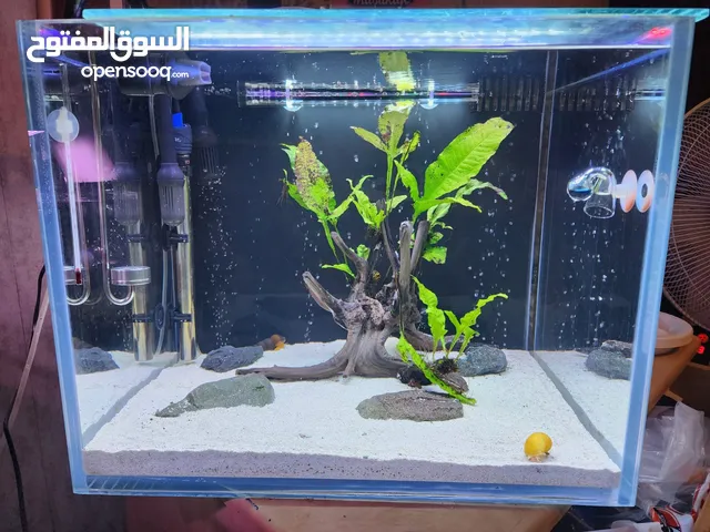 حوض فل كرستال