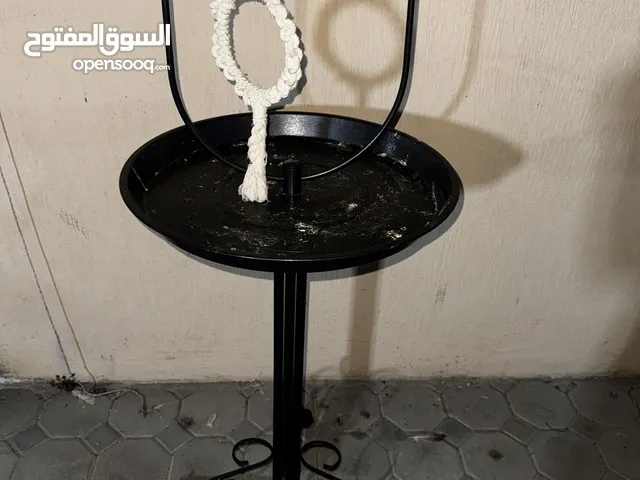 Parrot Stand