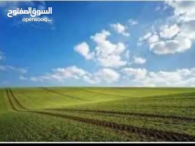 3 Bedrooms Farms for Sale in Basra Other