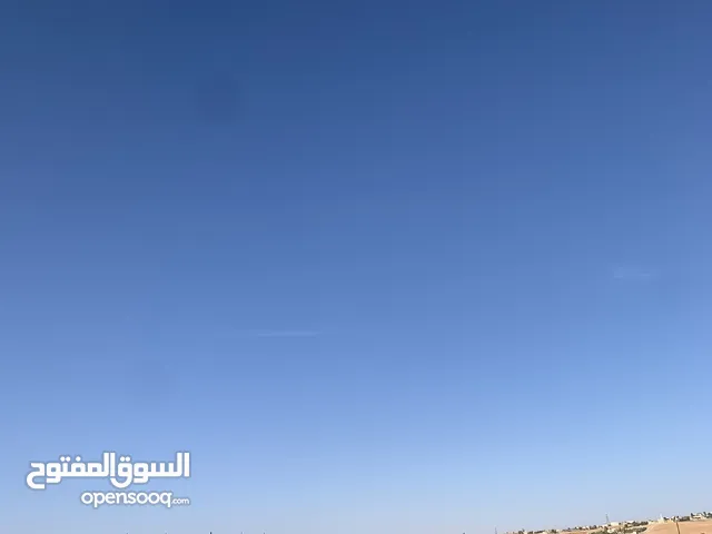 ارض للبيع في الجميل أم رصاص دنوم 8بسعر مغري