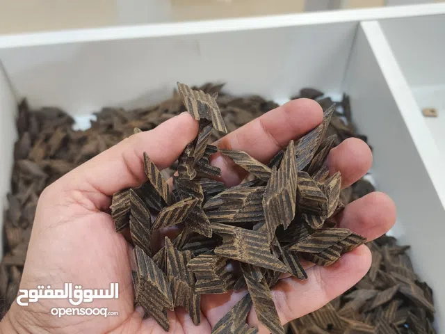 عود تايجر فيتنامي الدرجه الاولى باقل سعر وافضل جودة التوله تولات