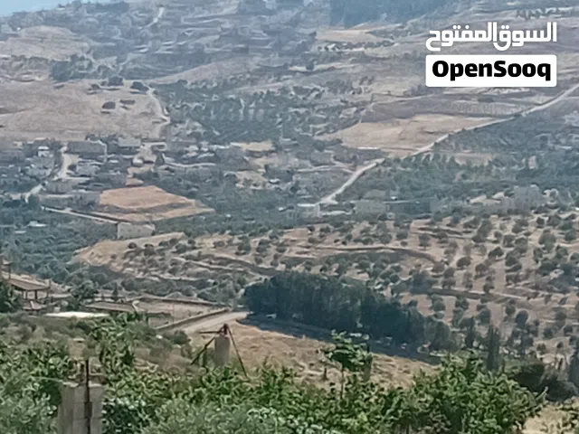 Mixed Use Land for Sale in Jerash Unaybah