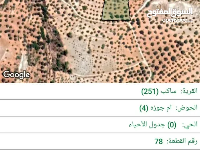 Farm Land for Sale in Jerash Sakib