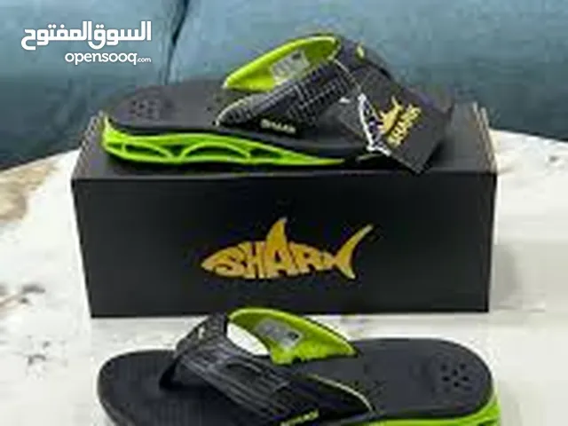 شارك مواج في معركة