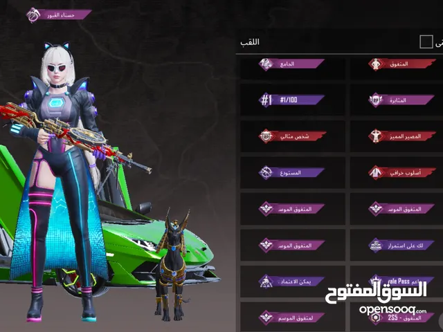 Pubg Accounts and Characters for Sale in Dhamar