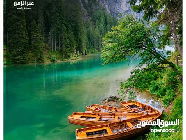 قص الاشجار وقص وتشكيل اشجار الزينة وتنسيق الحدائق