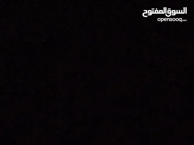 شقه للايجار