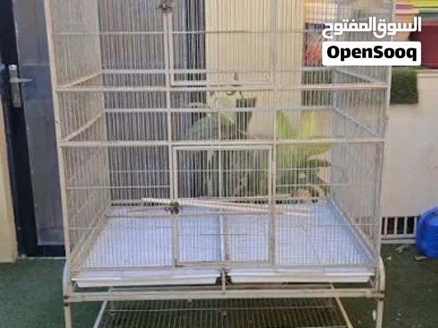 مطلوب مطير