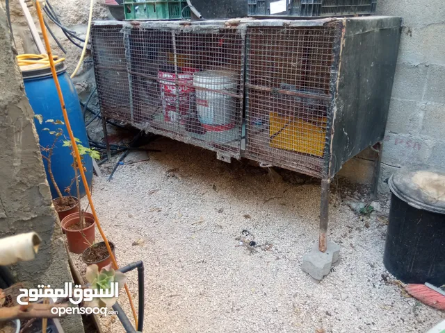 قفص متعدد الاستعمال