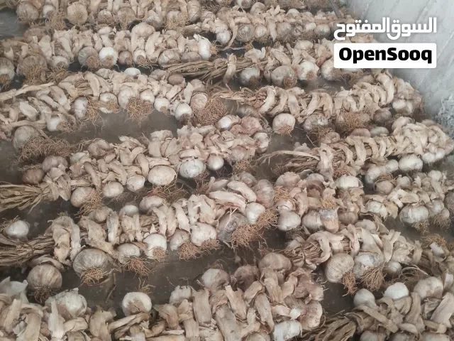 140 كيلو ثومة بلدية ناشفة