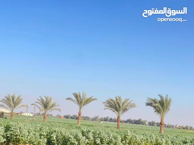 Farm Land for Sale in Cairo New Cairo