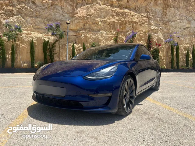 تيسلا موديل 3 لونج رينج بيرفورمنس