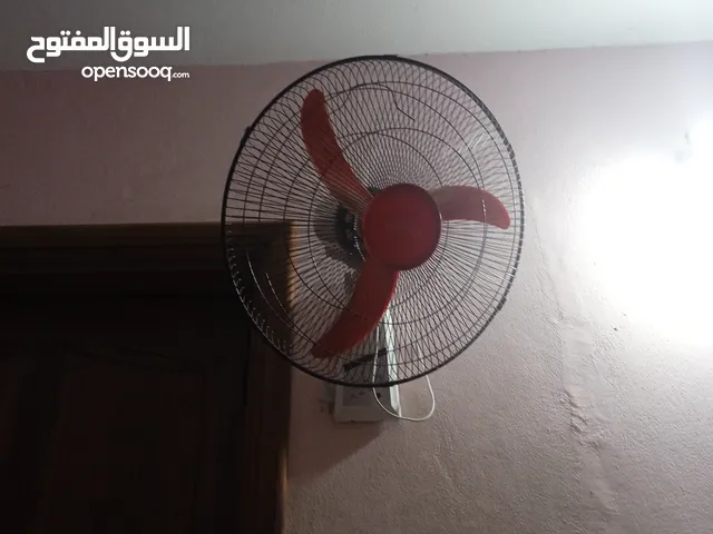 فرفارة جميلة