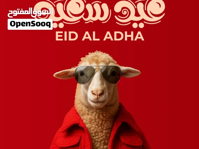 اعلان لذبائح ومطعمك يزيد من الزبائن بشكل احترافي