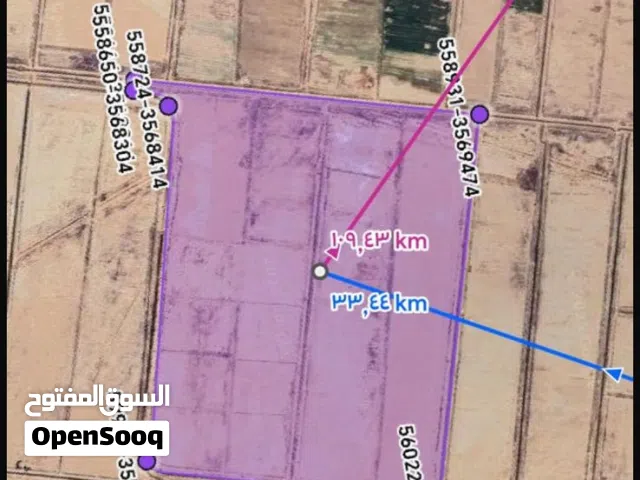 Farm Land for Sale in Wasit Kut