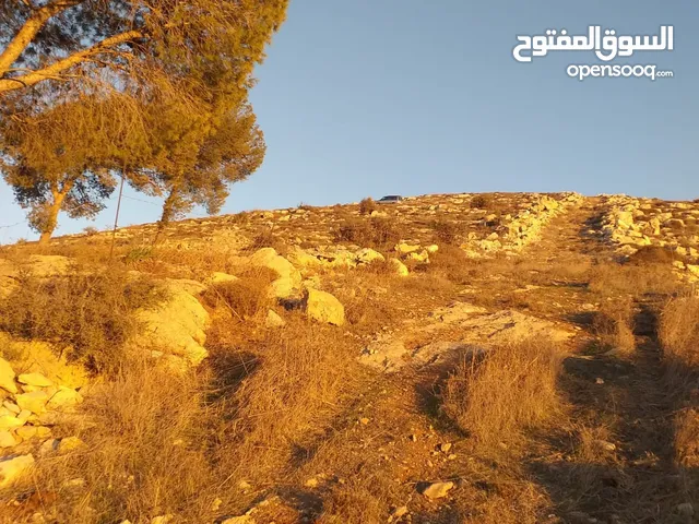 دورا جبل ابو عشره