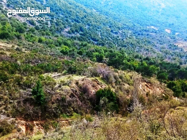 Farm Land for Sale in Chouf Other