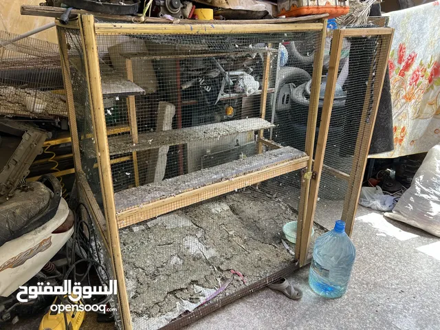 قفص طيور للبيع