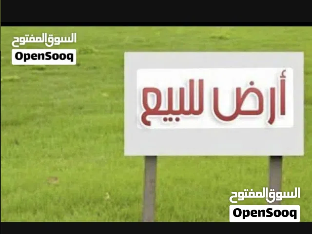 Farm Land for Sale in Tarhuna Other