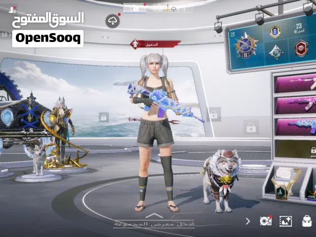 حساب ببجي