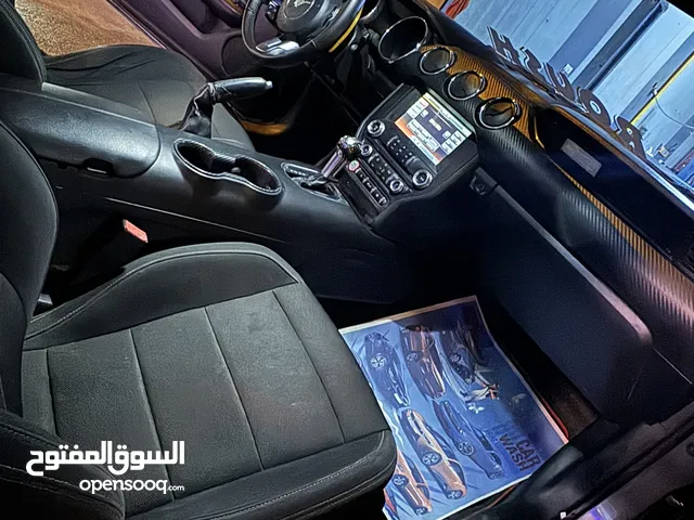 New Ford Other in Baghdad