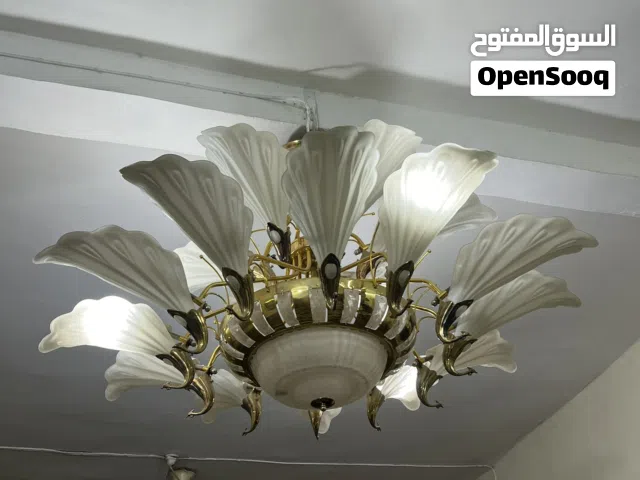 ثريات زوج حجم كبير