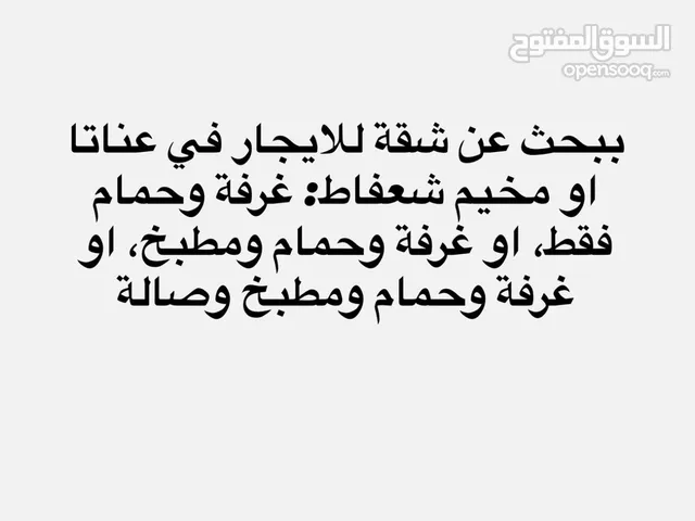 ببحث عن شقة للايجار في عناتا او مخيم شعفاط