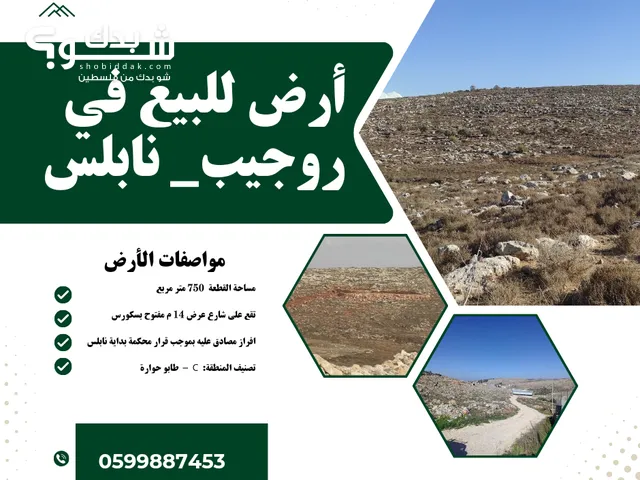 Mixed Use Land for Sale in Nablus Rujeib